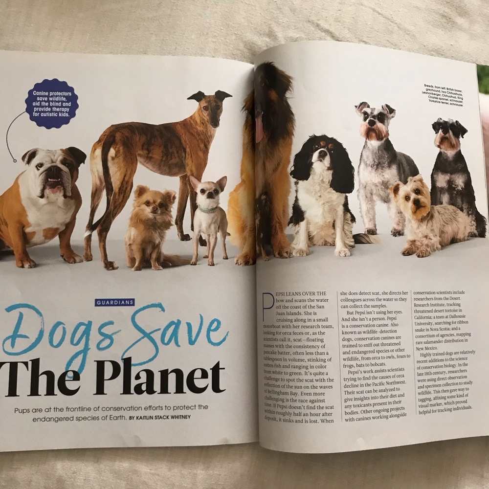 FREE The Ultimate Guide to the Animal Mind - Picture 10 of 10